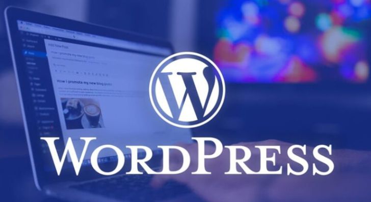 WordPress + SEO Master course